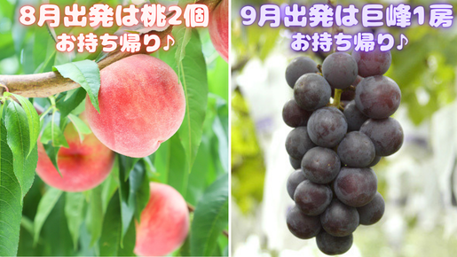 <Web割対象商品>【キングツアーバス旅】ひんやり神秘の天然クーラー大谷資料館と桃狩りまたは巨峰狩り!宇都宮餃子&いちご氷のかき氷〔吉祥寺・新宿発〕2